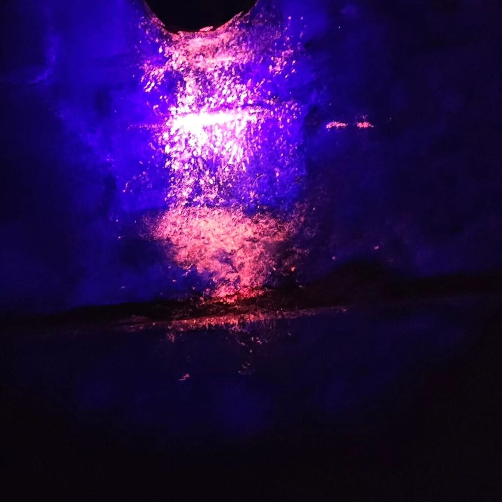 Rodent Investigation & Drain Inspection in Ashford, Kent