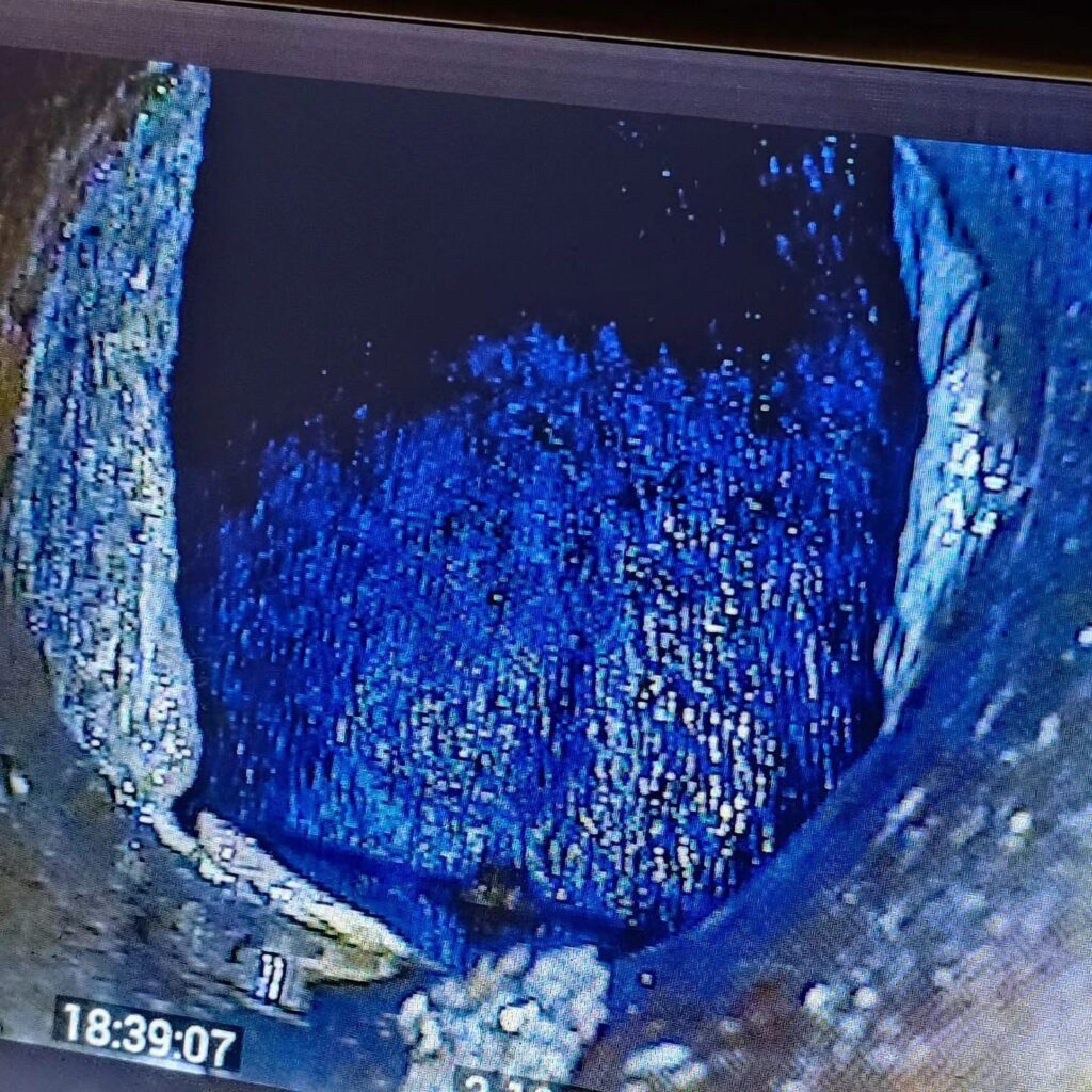 Rodent Investigation & Drain Inspection in Ashford, Kent