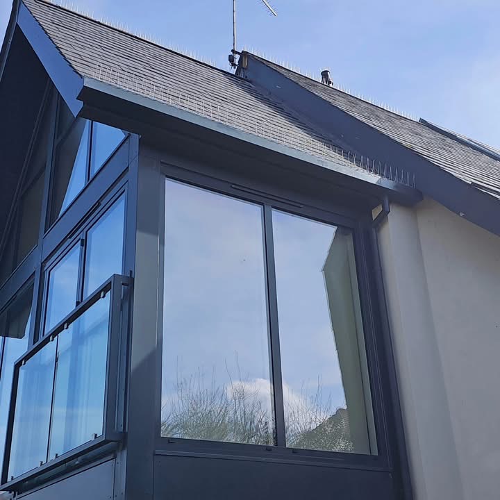 Bird Spike Installation in Whitstable