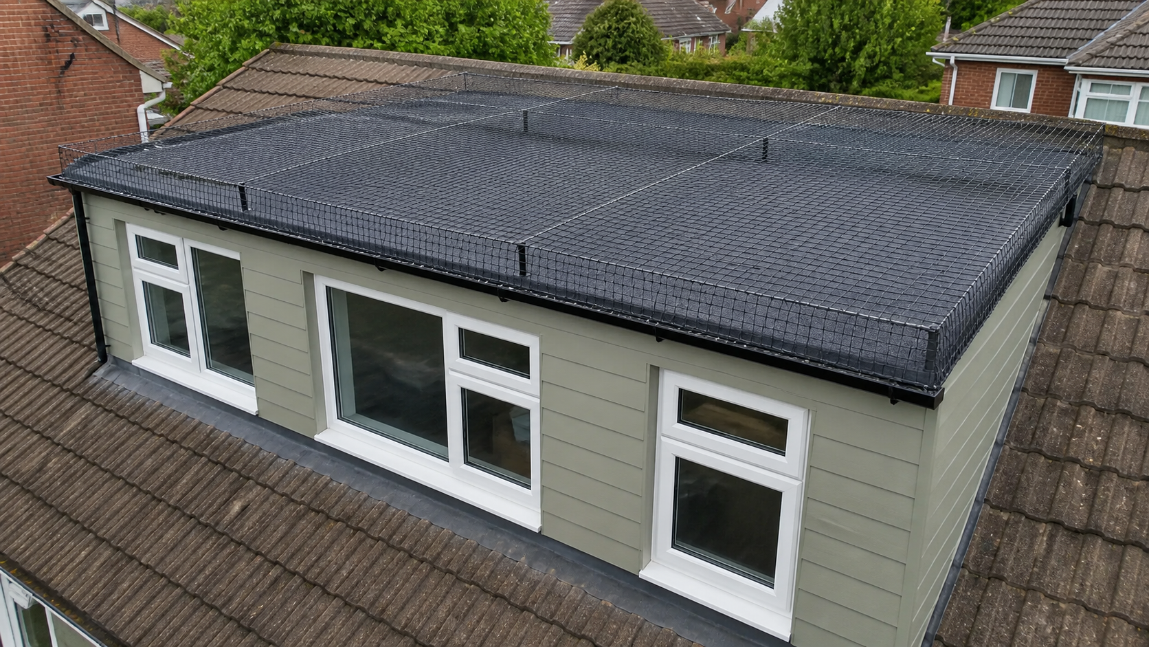 Bird Proofing Services: protected roof edges around dormer windows