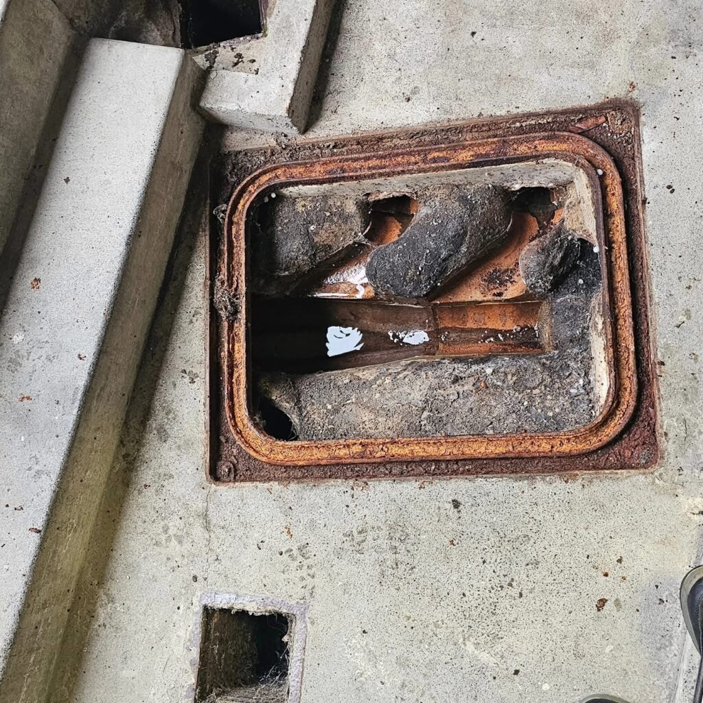 Commercial Drain Fly Treatment in Canterbury