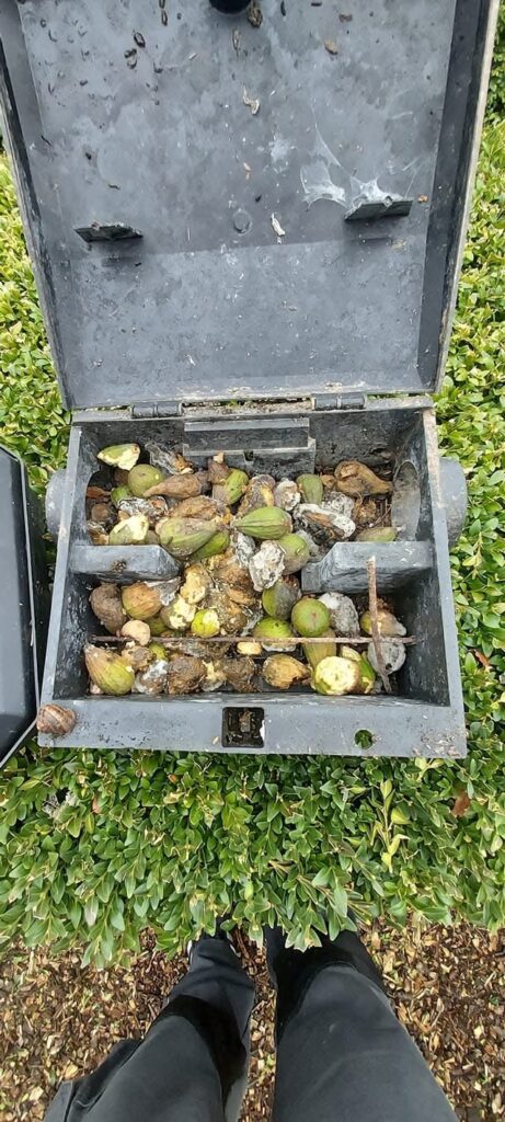 Environmental Rodent Monitoring Inspection
