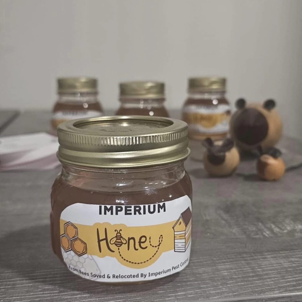 Honey Bee Relocation & Community Thank You