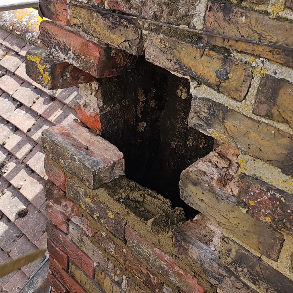 Honey Bee Relocation – Iwade, Kent