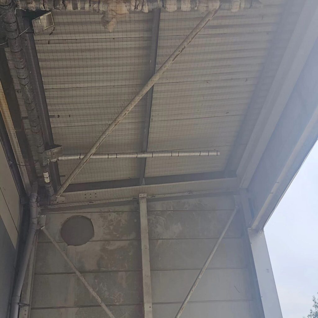 Commercial Bird Proofing at Warehouse Loading Bay