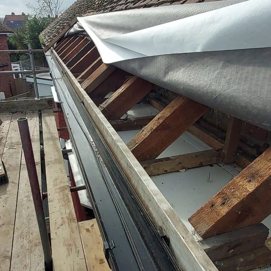 Bird Nest Removal & Roof Void Clean-Up