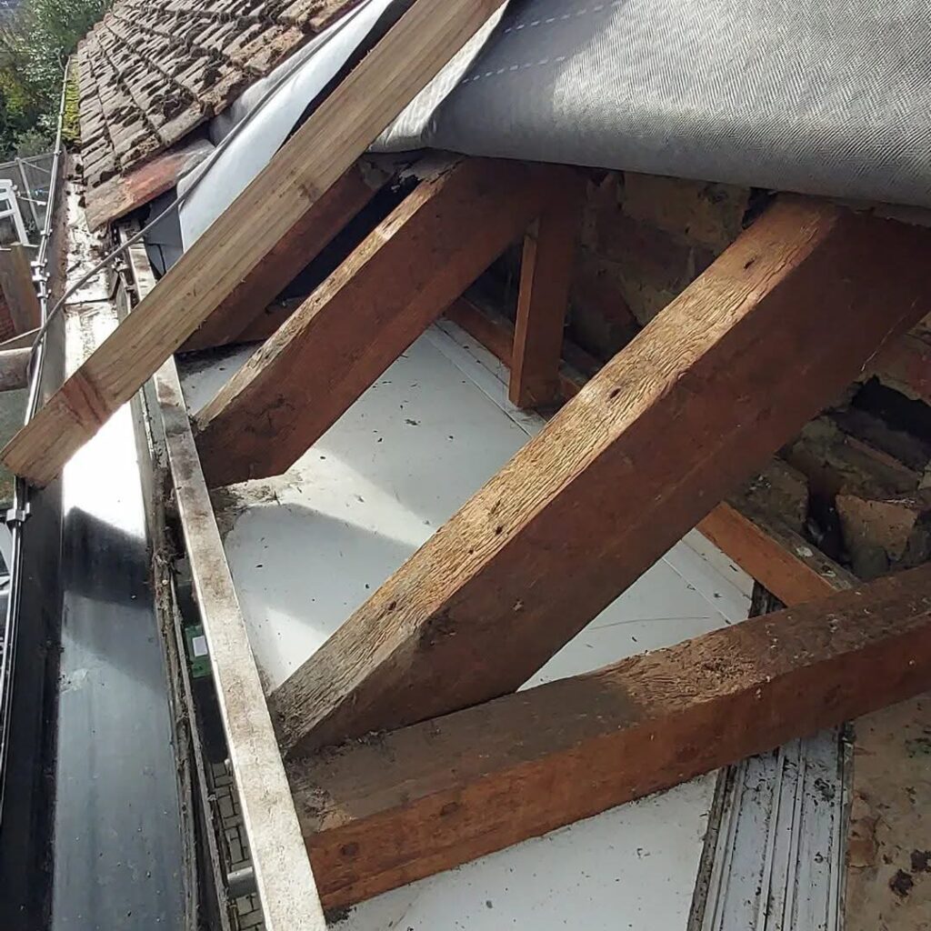 Bird Nest Removal & Roof Void Clean-Up