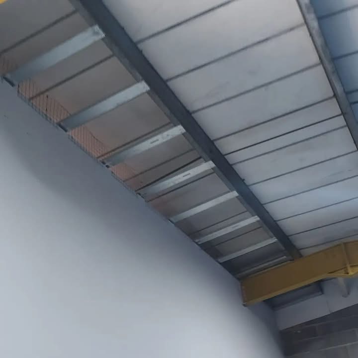 High-Level Bird Proofing at Commercial Warehouse