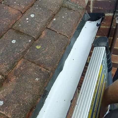 Bird Nest Removal & Roof Void Clean-Up