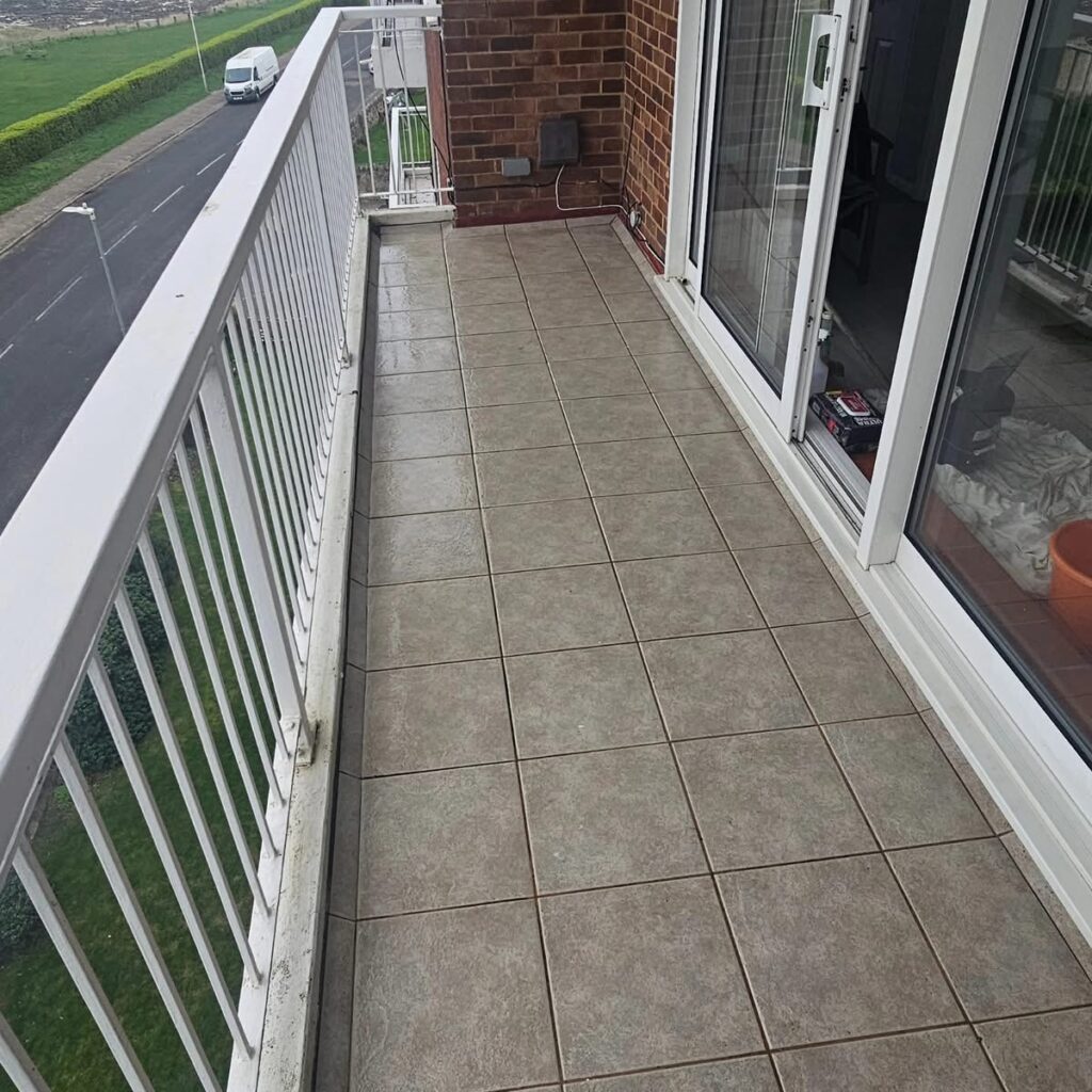 Pigeon Fouling Clean-Up