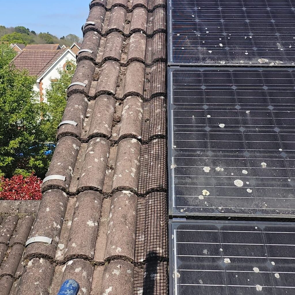 Solar Panel Bird Proofing Installation in Ashford, Kent
