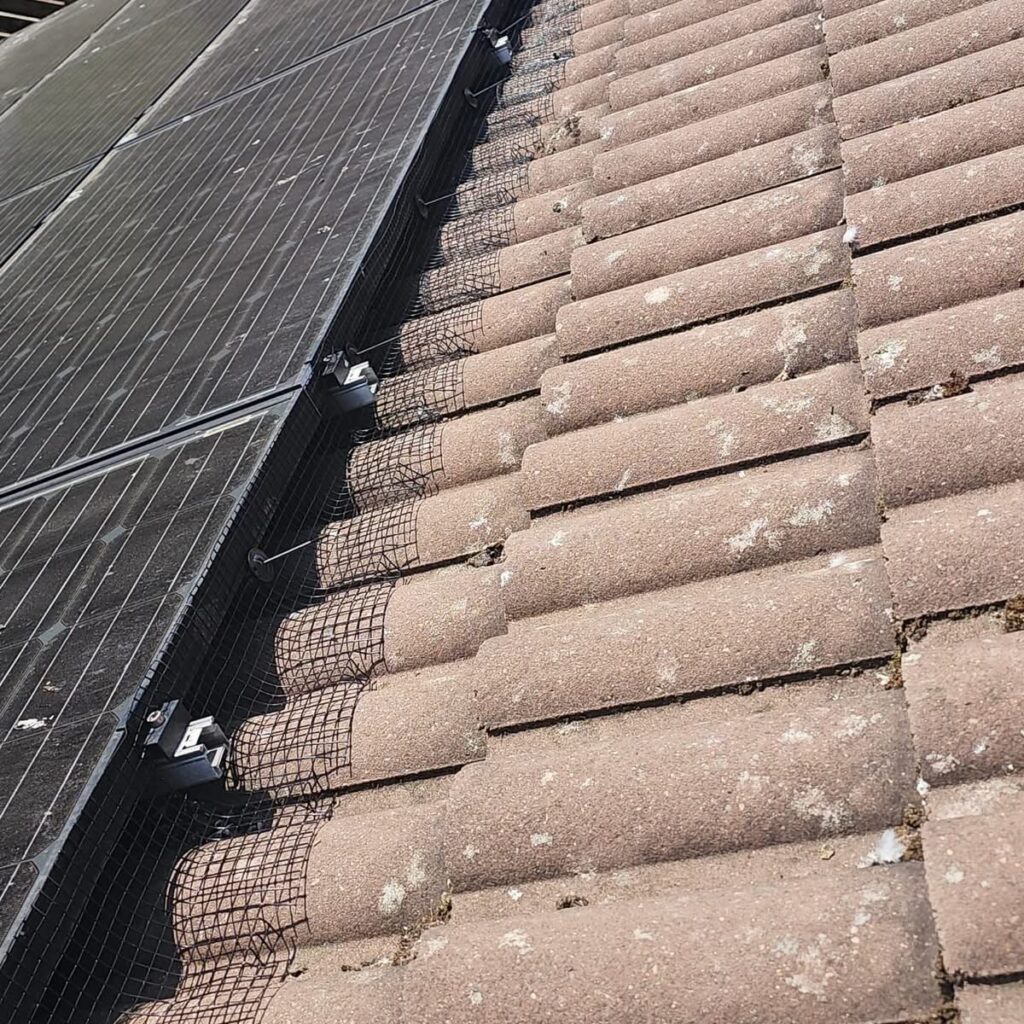Solar Panel Bird Proofing Installation in Ashford, Kent