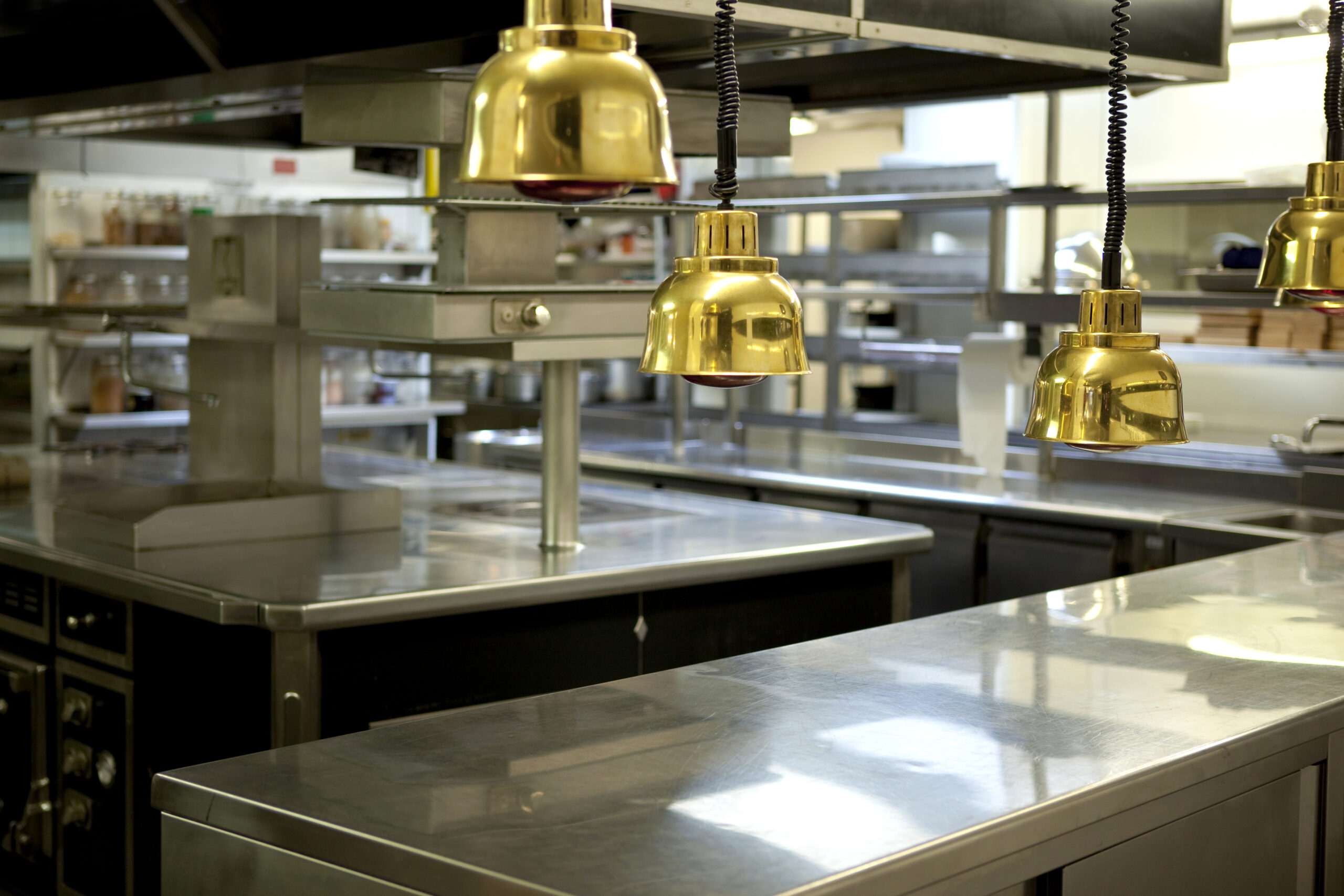 Commercial Pest Control Services: stainless steel preparation areas in a professional kitchen