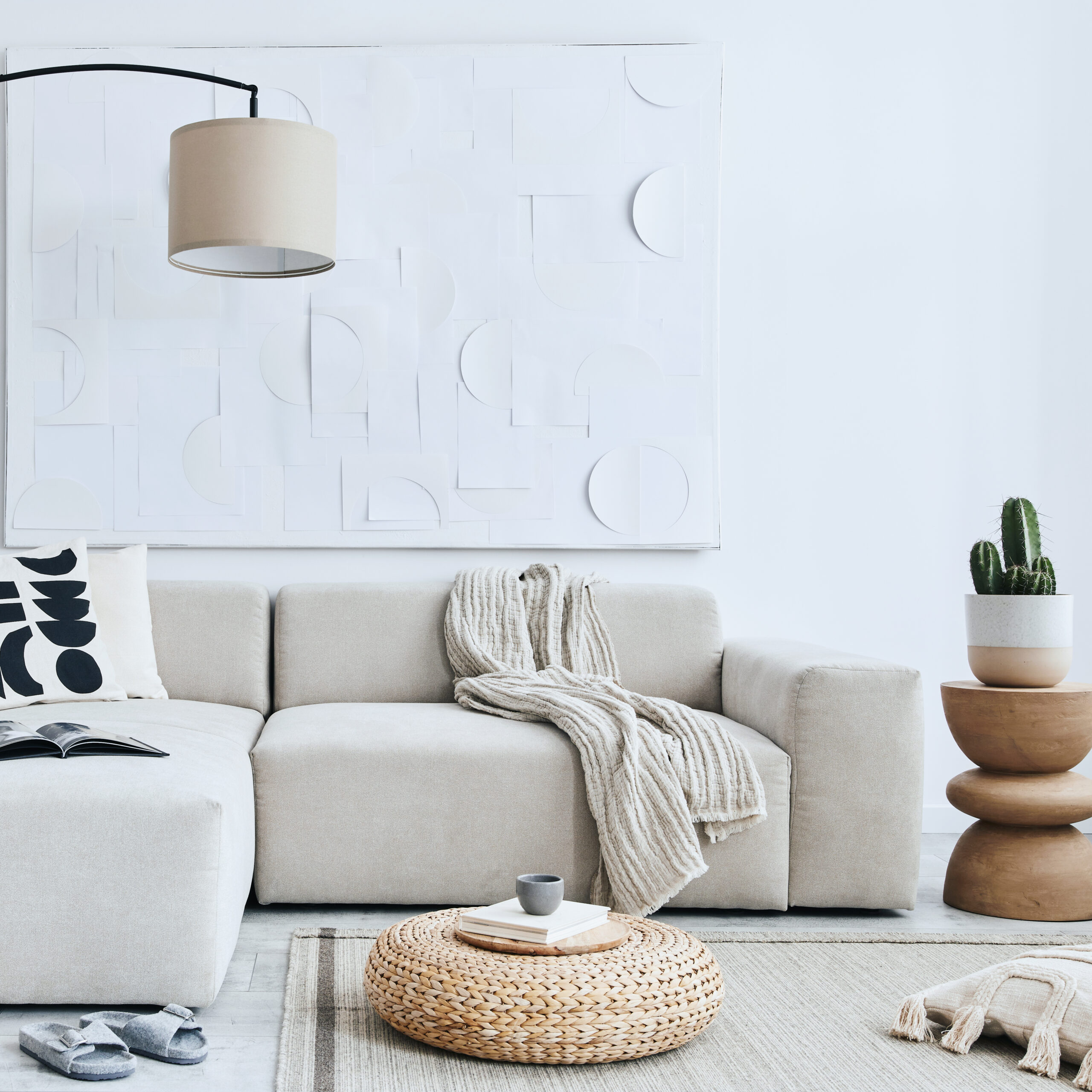 Flea Pest Control: living room with upholstered furniture and a rug