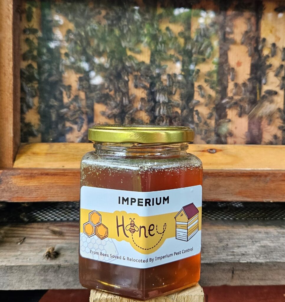 Honey Bee Relocation & Community Thank You