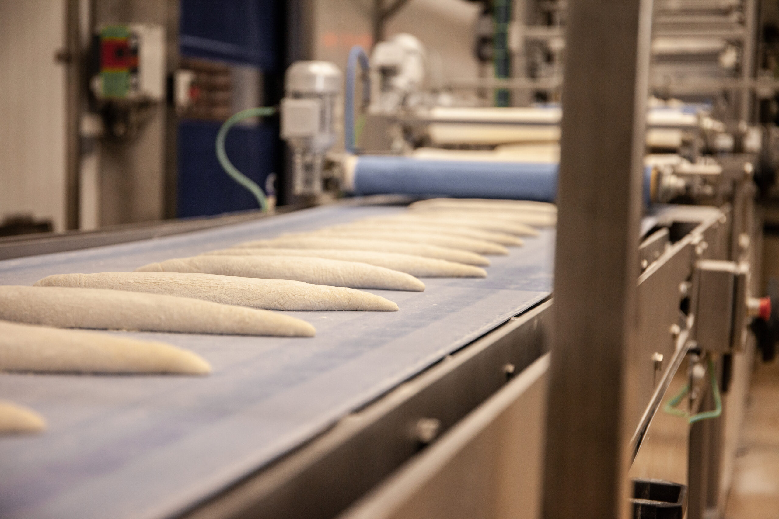 Pest Control for Food Production & Manufacturing Sites: bread on a factory conveyor