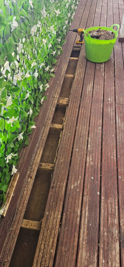 Pigeon Control and Bird Deterrent in Ashford, Kent