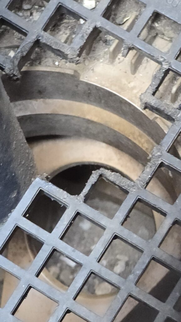 Rat Activity Around a Drain Gully in Oxted