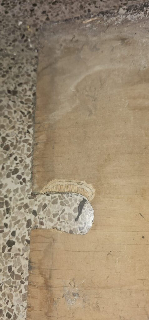 Commercial Rat Investigation & Proofing