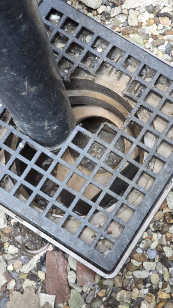 Rat Activity Around a Drain Gully in Oxted